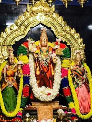 lord muruga